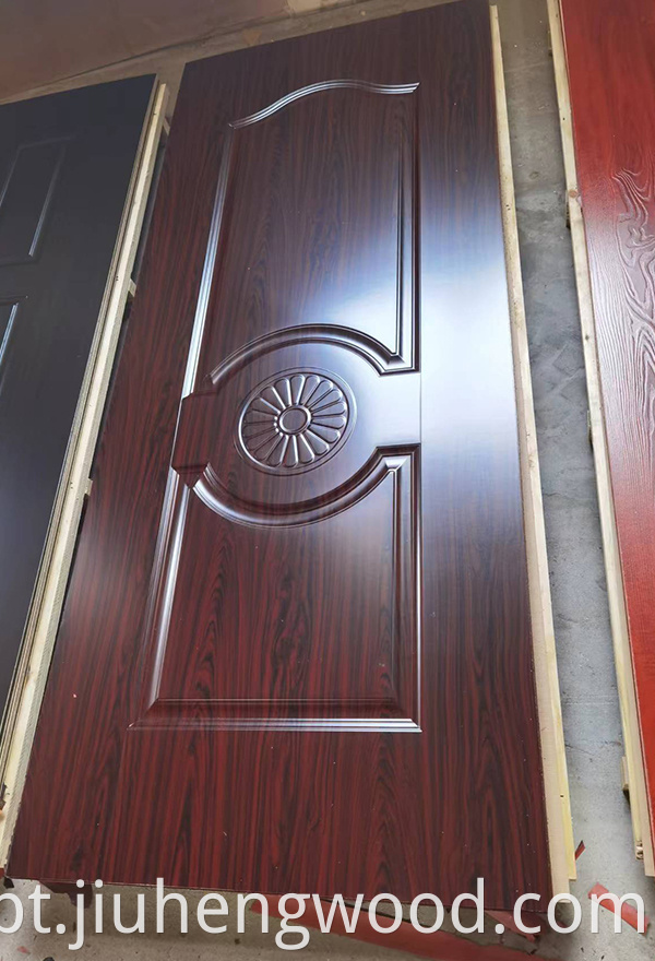 Door Skin